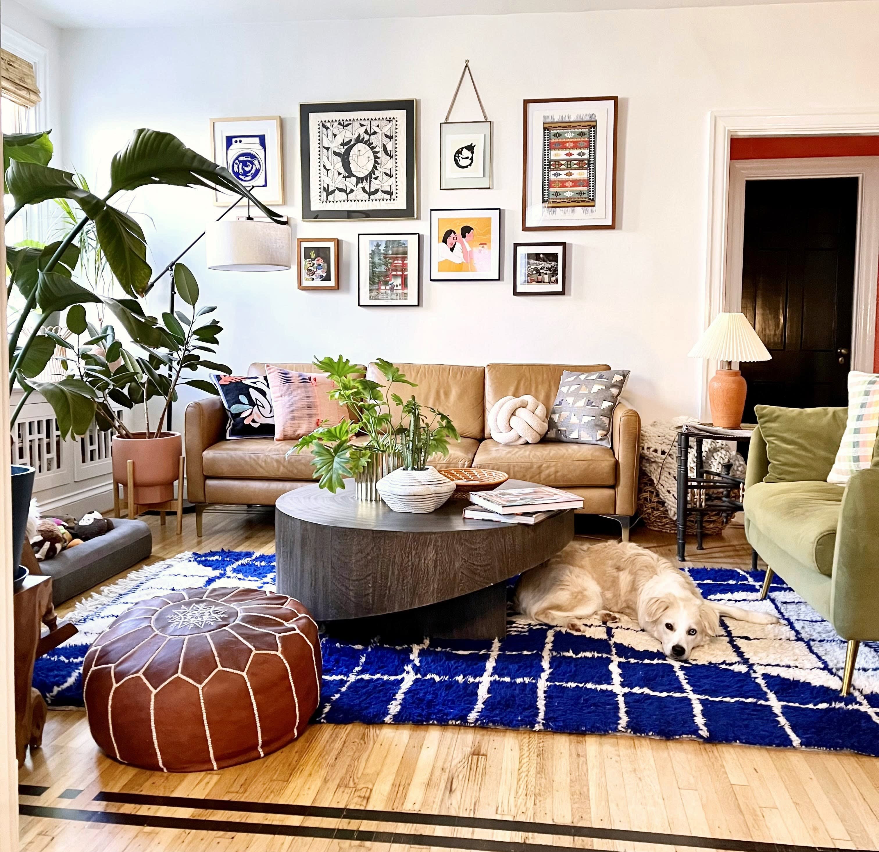 This Washington D.C. Co-Op Is Colorful Plant Maximalism This Washington D.C. Co-Op Is Colorful Plant Maximalism